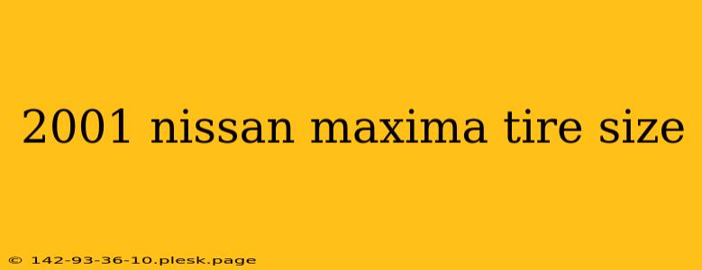 2001 nissan maxima tire size