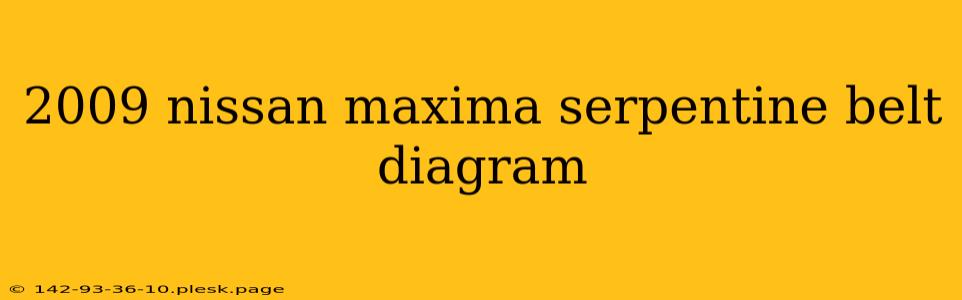 2009 nissan maxima serpentine belt diagram