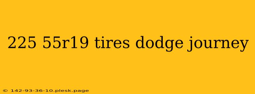 225 55r19 tires dodge journey