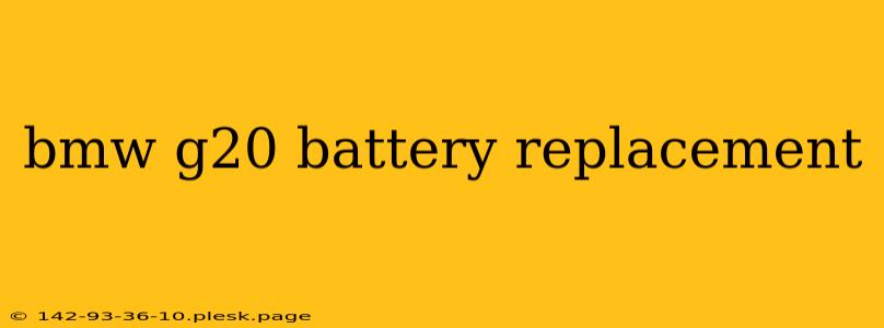 bmw g20 battery replacement