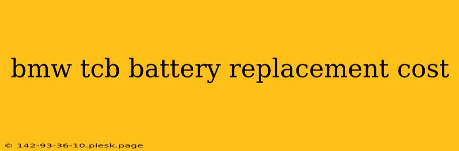 bmw tcb battery replacement cost