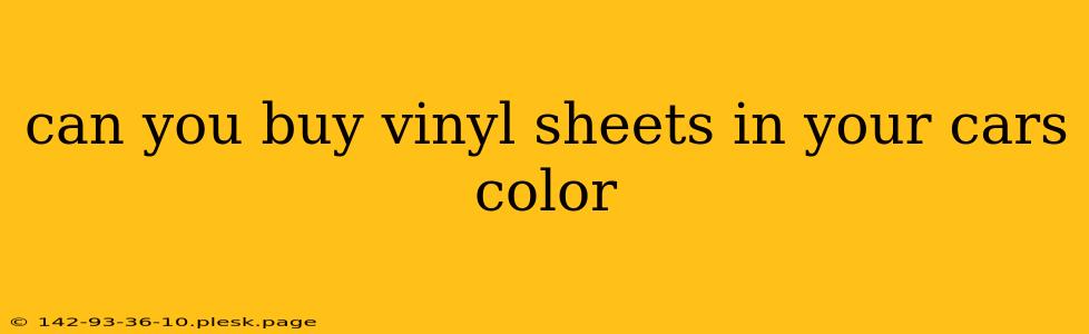 can you buy vinyl sheets in your cars color