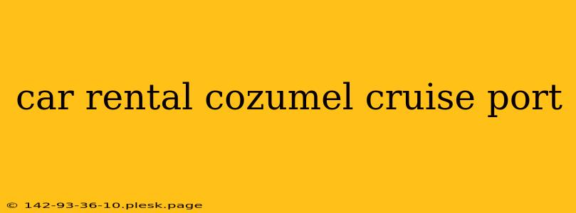 car rental cozumel cruise port