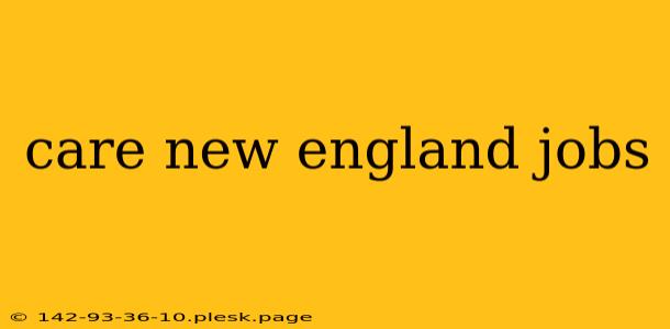 care new england jobs