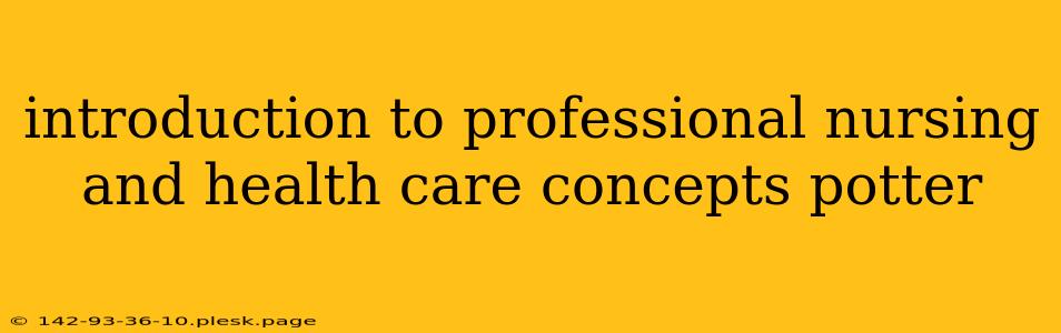 introduction to professional nursing and health care concepts potter