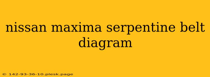 nissan maxima serpentine belt diagram