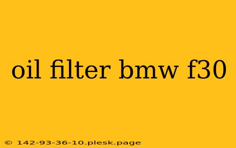 oil filter bmw f30