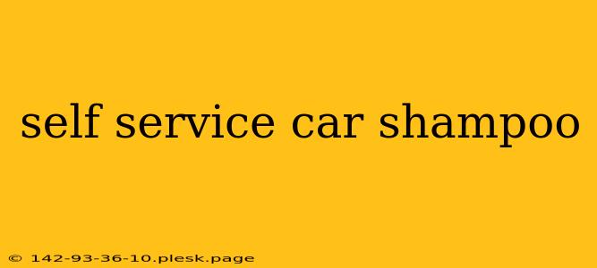 self service car shampoo