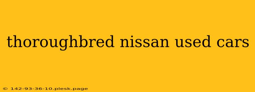 thoroughbred nissan used cars