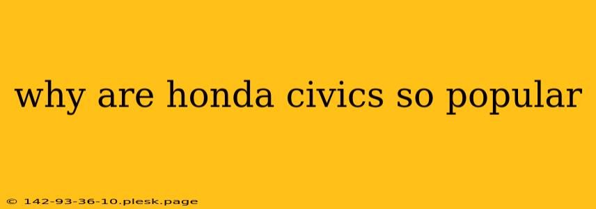 why are honda civics so popular