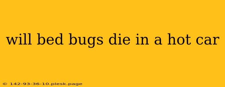 will bed bugs die in a hot car